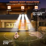 Compound Solar Lamp with motion Sensor - Image 7